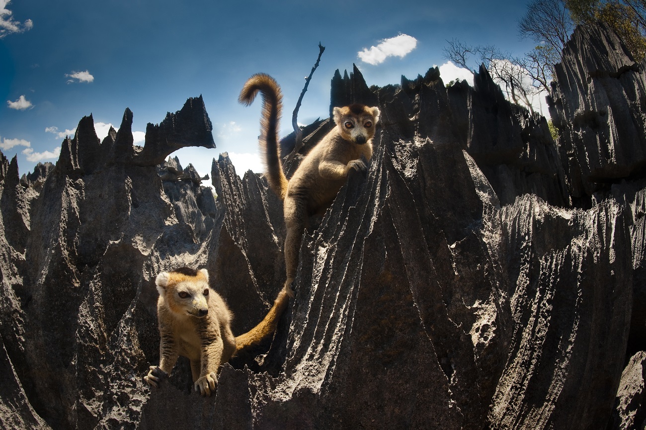 bbc world news madagascar
